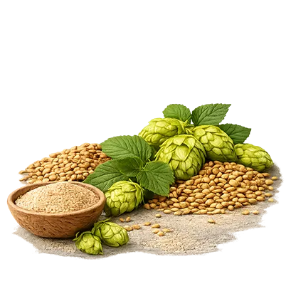 Produzione estratti naturali di malto e luppolo Naturiex